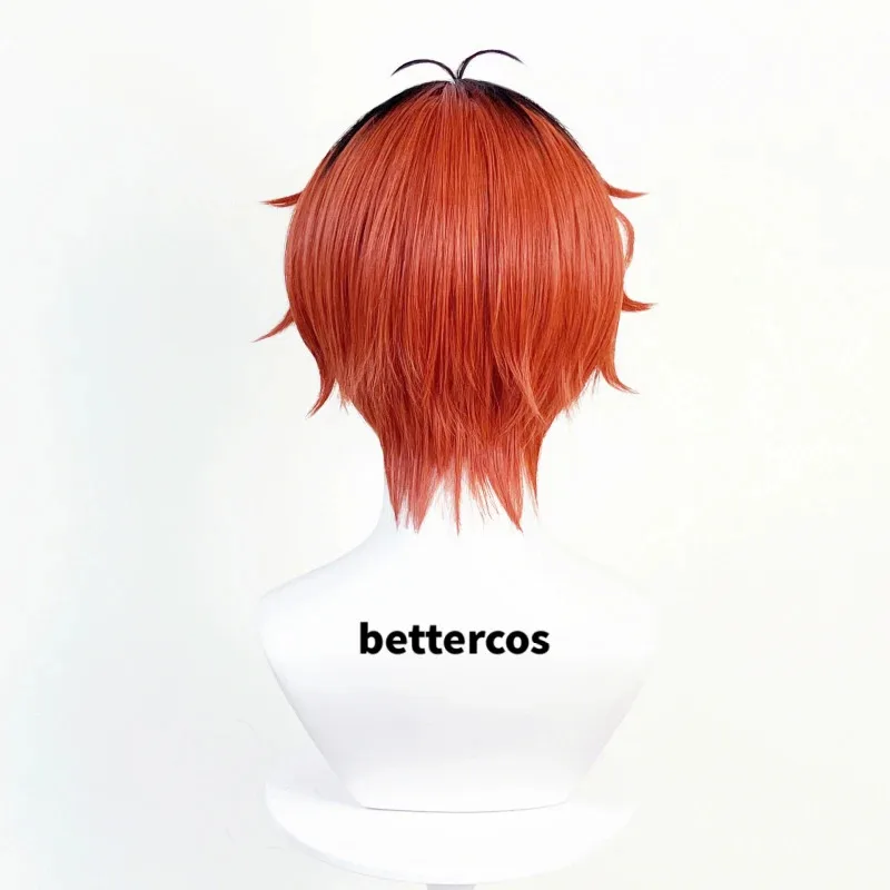 zz04zz12Stark コスプレアニメ Frieren 葬儀ブラウンレッドブラックショート耐熱人工毛パーティーウィッグ + ウィッグキャップ