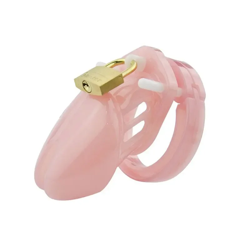 Small/Standard Male Chastity Device Cock Cage With 5 Size Rings Brass Lock Locking Number Tags Sex Toys for Men Couples Adults