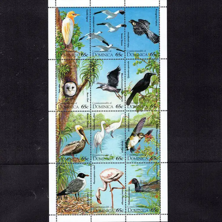 Sellos postales de Dominica Y1995, aves raras, garzas, gansos de las nieves, 12 sellos postales coleccionables nuevos, material para álbumes de recortes