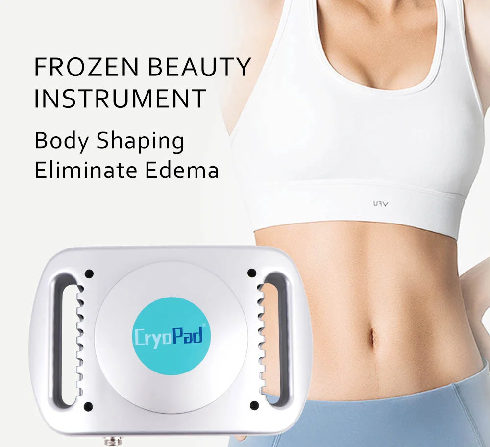 

Fat Removal Portable Freezer Beauty Apparatus