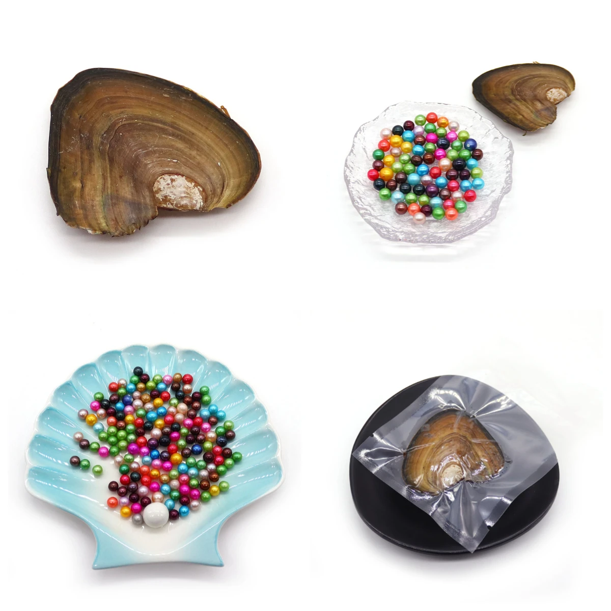 

Small River Mussels in Vacuum Packaging with Random Color Round Pearls Per Mussel for DIY Handcrafted Necklace Accessories