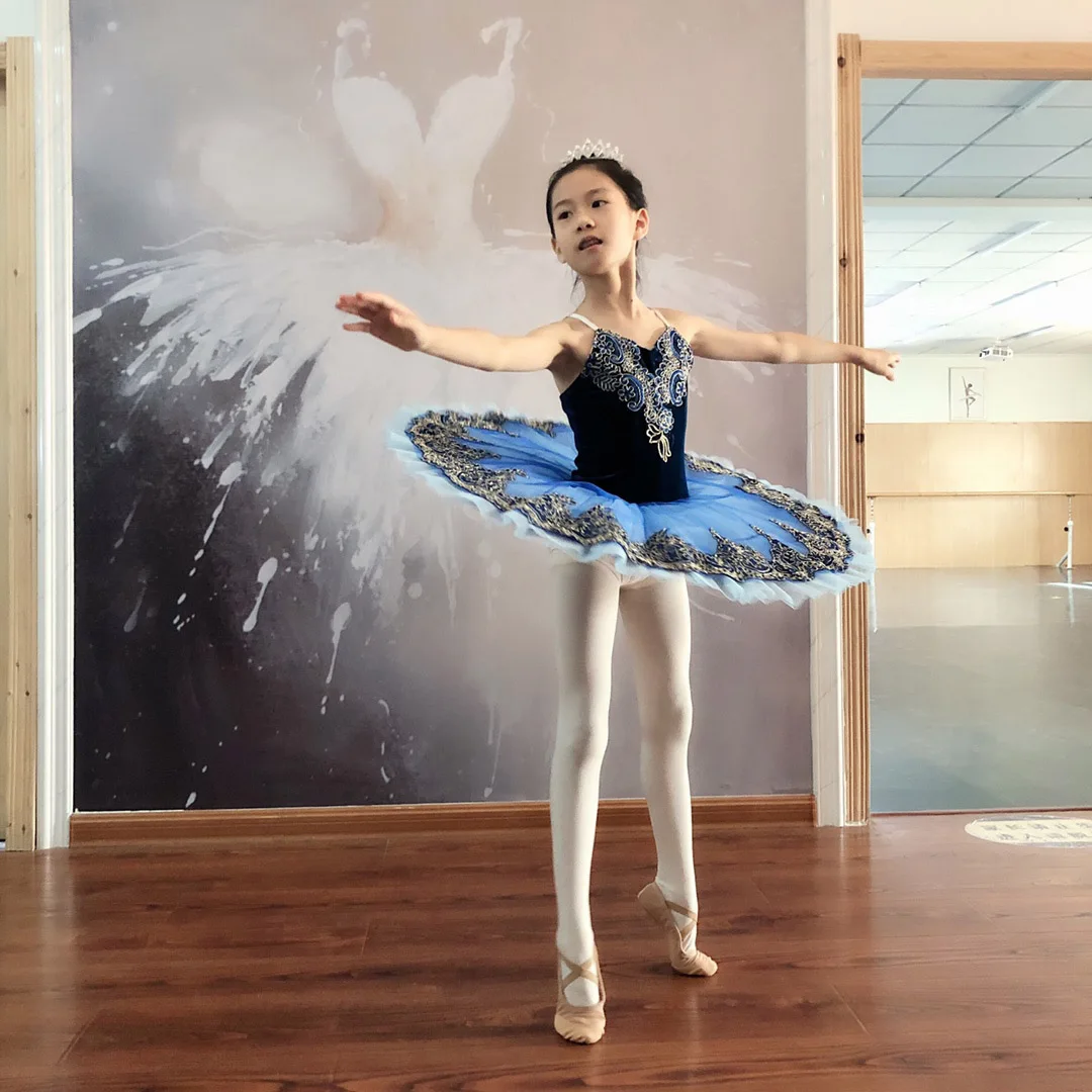 Children's Professional Tutu Swan TUTU Saree Bluebird Variation Tutu Stage Group Performance Clothing ballet dress