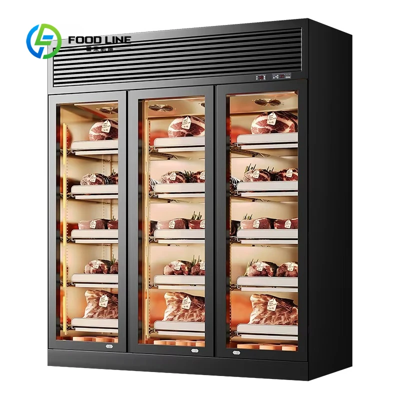 Customized Kitchen Beef Dry Aging Refrigerator Meat Preservation Cabinet Supporting Dual Dry Wet Cooling Freezing Storage