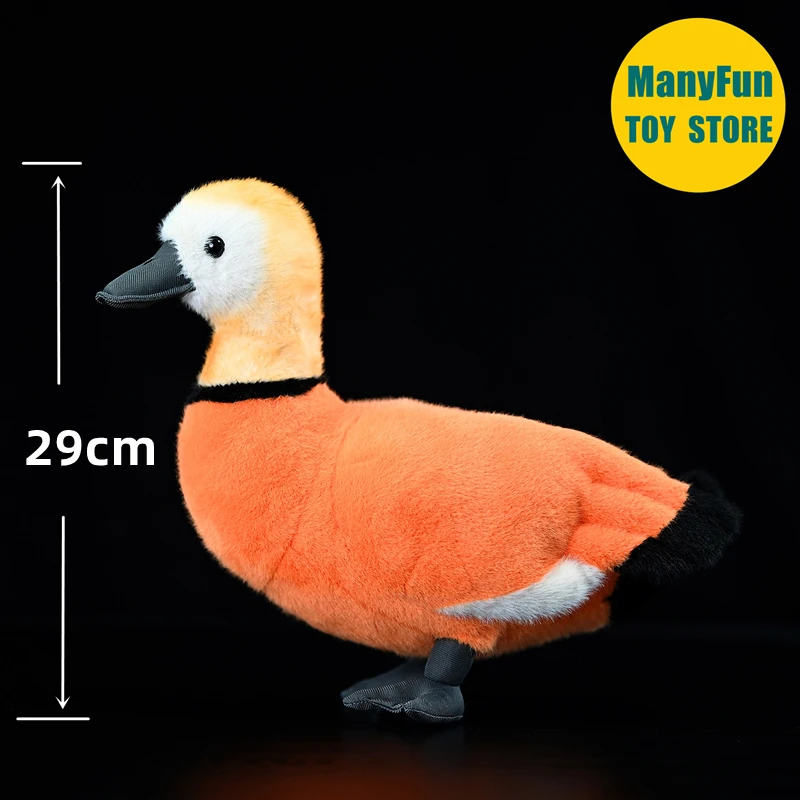 Ruddy Shelduck Plush Toy Realistic Brahminy Duck Plushie Lifelike Wild Duck Stuffed Animal Simulation Toy Gift