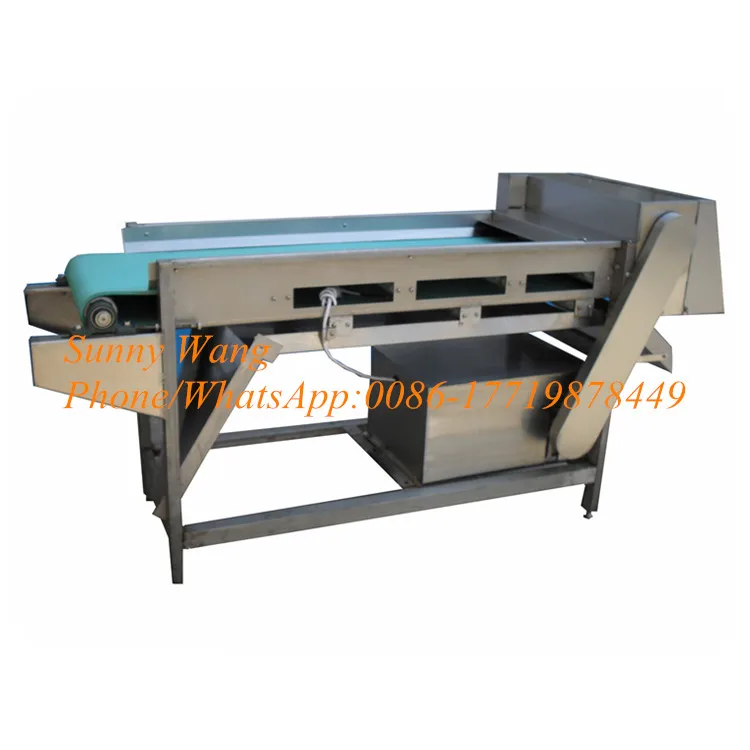 เครื่องตัดสารเลื่อนเห็ดสแตนเลส 304 เครื่องตัดหน่อไม้ฝรั่งเครื่องตัดสาหร่ายทะเล