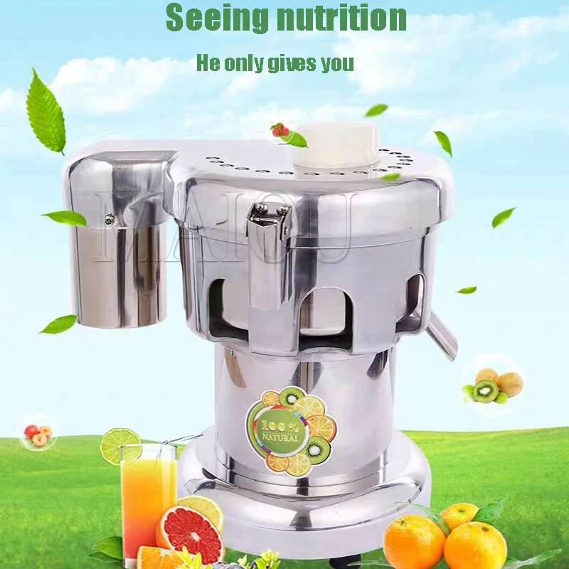 Commercial Industrial Cold Press Juicer Machine Carrot Fruit Juice Extractor
