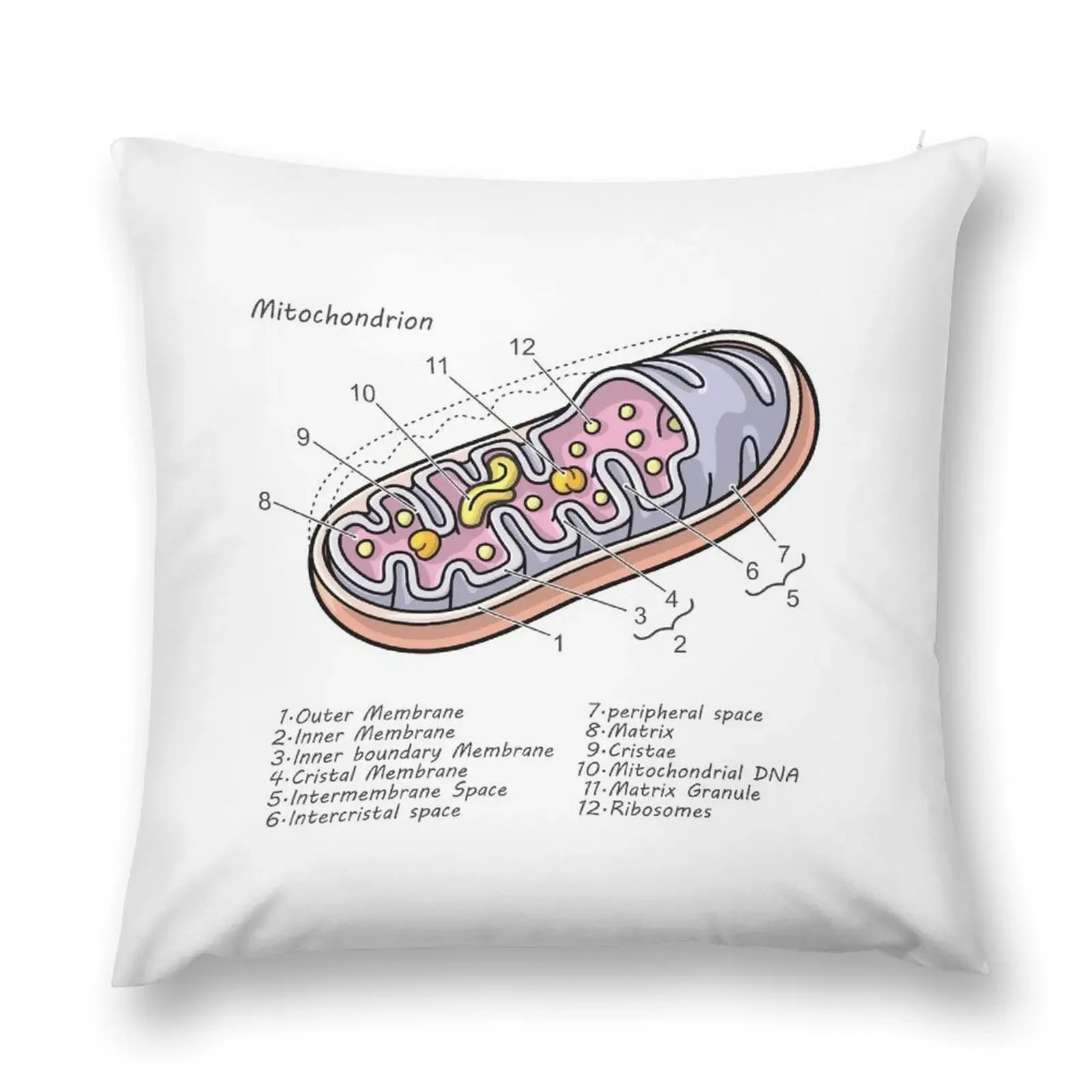 Mitochondrion Cell Biology Diagram Throw Pillow Pillowcase Cushion Pillows Aesthetic Cusions Cover pillow