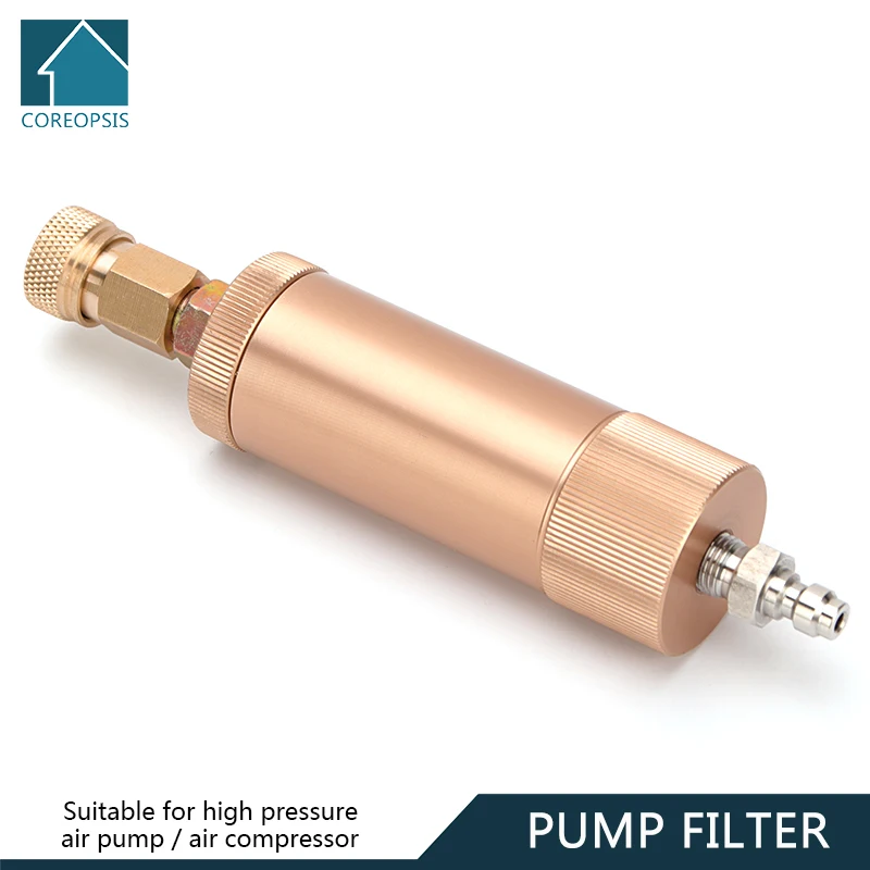 

Pump Filter with Quick Disconnect M10x1 Thread 40Mpa 6000psi Air Filtering Water-Oil Separator Air Compressor Filtering Element