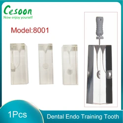 1Pcs Dental Endo Root Canal Tooth Model 8001 RCT Training Block Pulp Practice Dentistry Replace Resin Teeth Student Study Tools