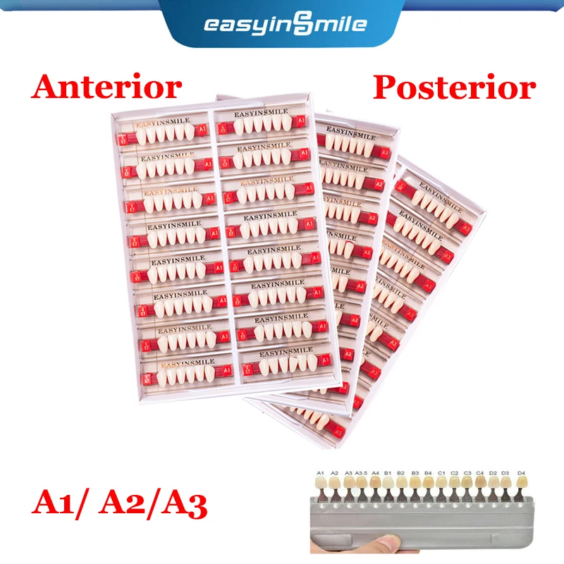 Рисунок 6 - зубы из акриловой смолы