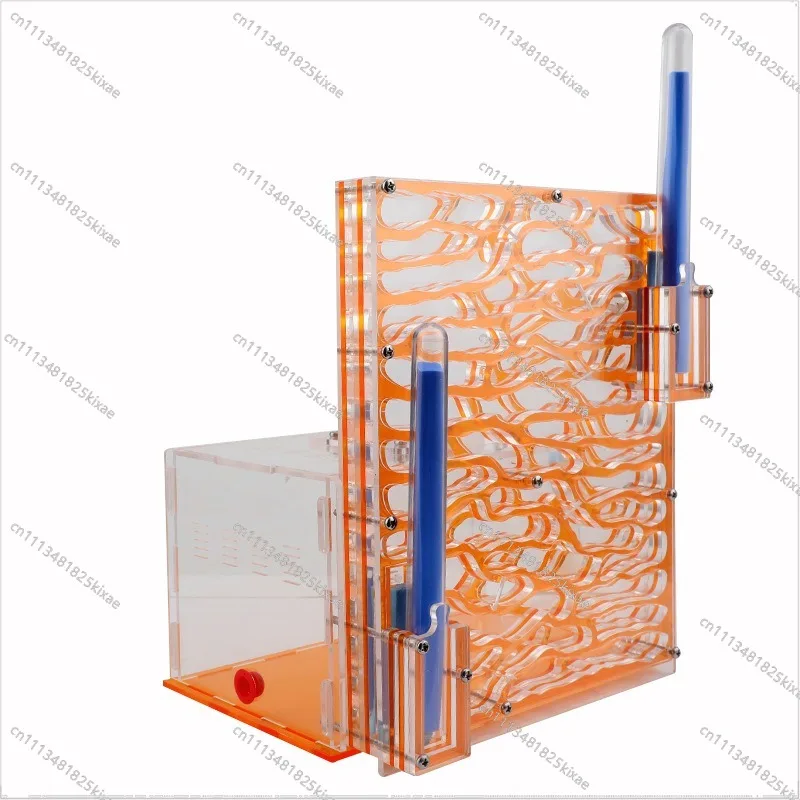 For Transparent Acrylic Pet Ants Climbing Tree Palace Castle Ecological Box Workshop Tribal Home Sand Nest