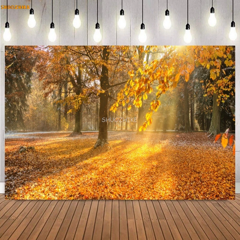 秋の森の写真の背景、写真の背景、自然の風景、秋の黄色のカエデの葉、経路、大人、子供、肖像画