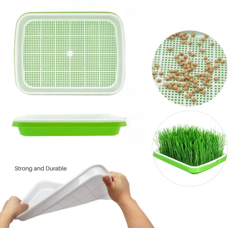 1set Sprouting Tray With Cover Pea Bean Wheat Seedling Germination Plate Cat Grass Wheatgrass Soilless Hydroponics Planting Pots