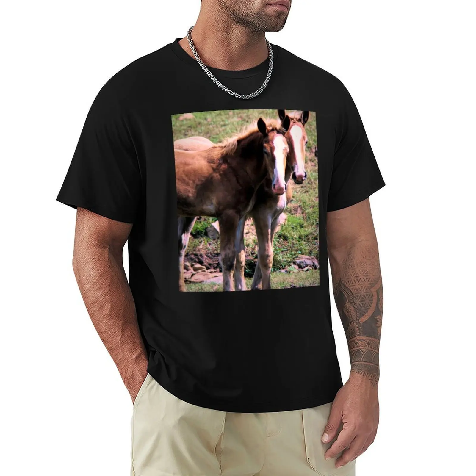 Belgian Draft Horse Foals in Lancaster County, Pennsylvania T-Shirt Basic All Season Solid T-Shirt