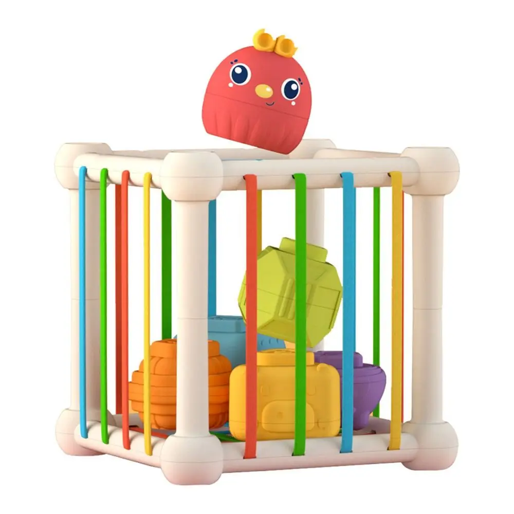 8-in-1 教育用形状ゲームキューブ 形合わせキューブ レインボーカラフルブロック 教育用プレイゲーム 多機能