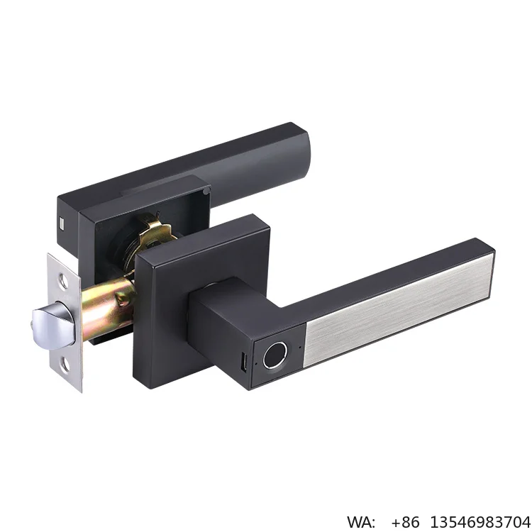 

New Trend Door Electronic Lock Fingerprint Door Handle Gate Lock Smart Door Lock Easy Install