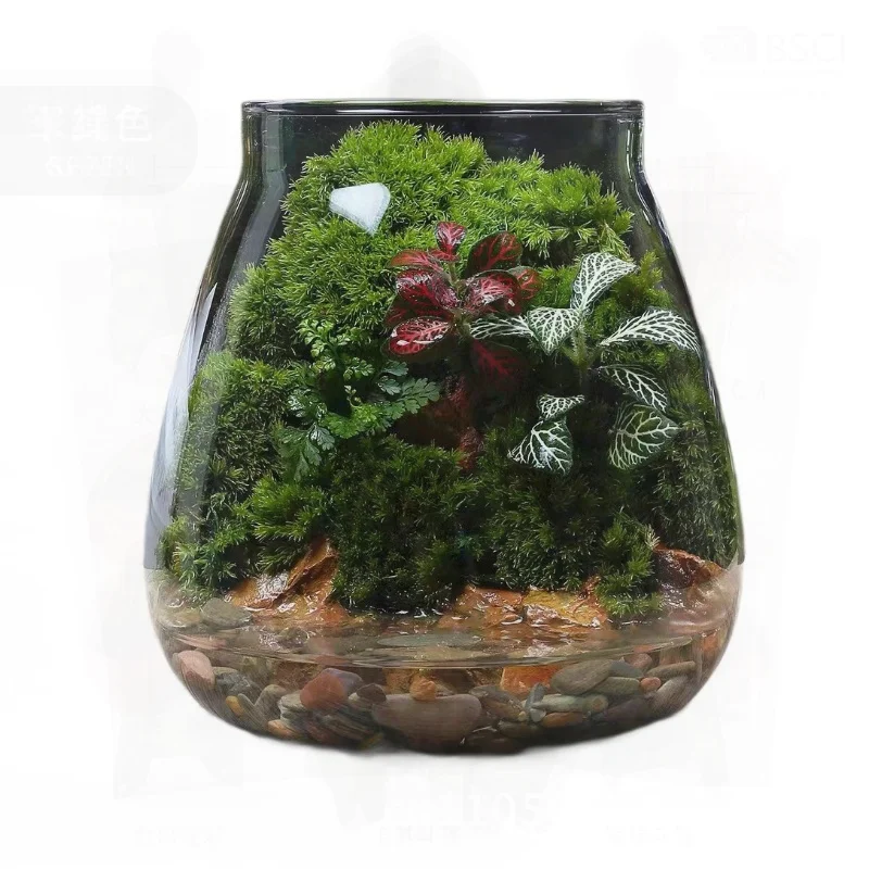 

Ecological Hydroponic Plant Bottle Moss Micro Landscape Glass Ornament DIY Handmade Gift High Borosilicate Glass Small/Large
