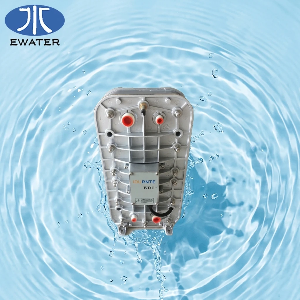 Small Flow EDI Ultrapure Water Equipment Compact Easy Installation For Laboratory And Small Factory Water Purification