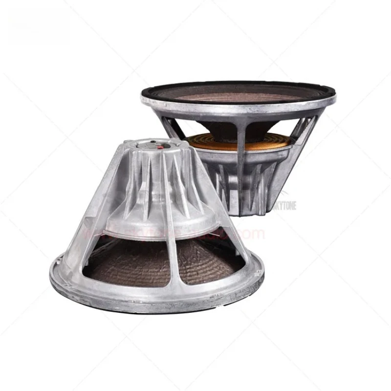 12 Inch Dual Voice …