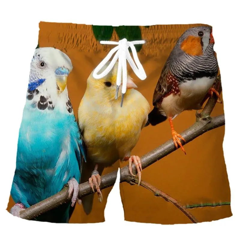 Parrot Graphic Beach Shorts Men 3D Printing Board Shorts Swimsuit Homme Summer Swim Trunks Cool Kids Ice Shorts Male Clothes