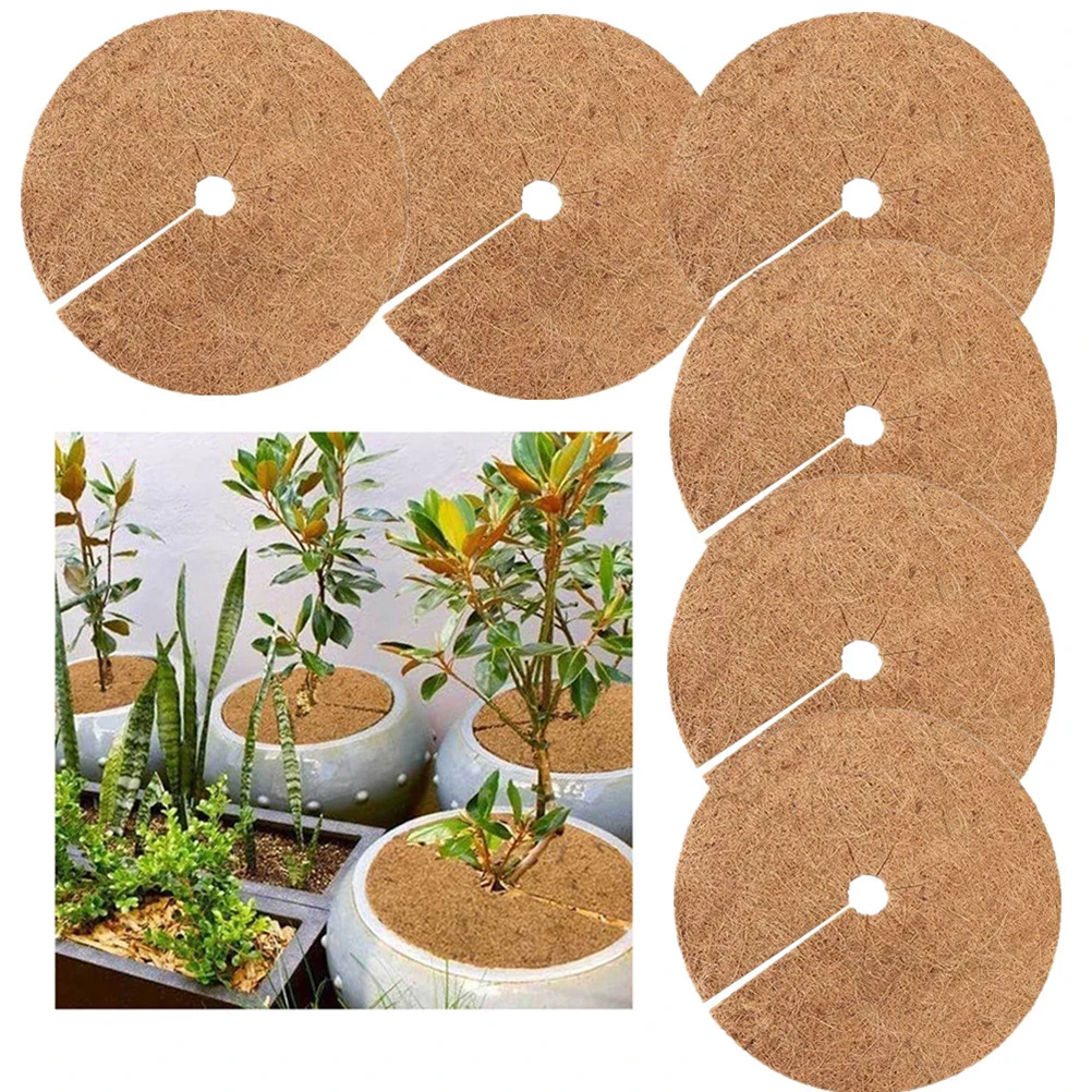 

Pack Of 6 Coconut Mulching Trays, Diameter 30 Cm, Winter Protection For Plants,Frost Protection Cold Protection For Plants