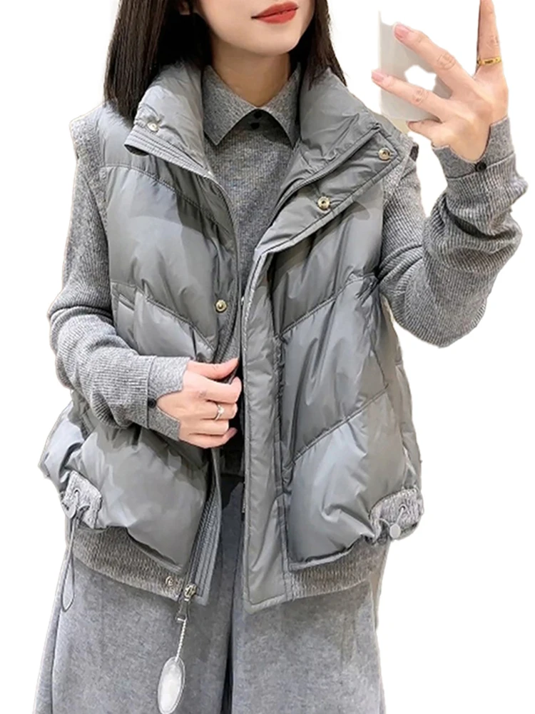 Ay Thiened Stand Collar Vest Buitenkleding Dames Winter Nieuw Sle Small Cro Modieus Schouderpad Vest Pendel Sle Rits...