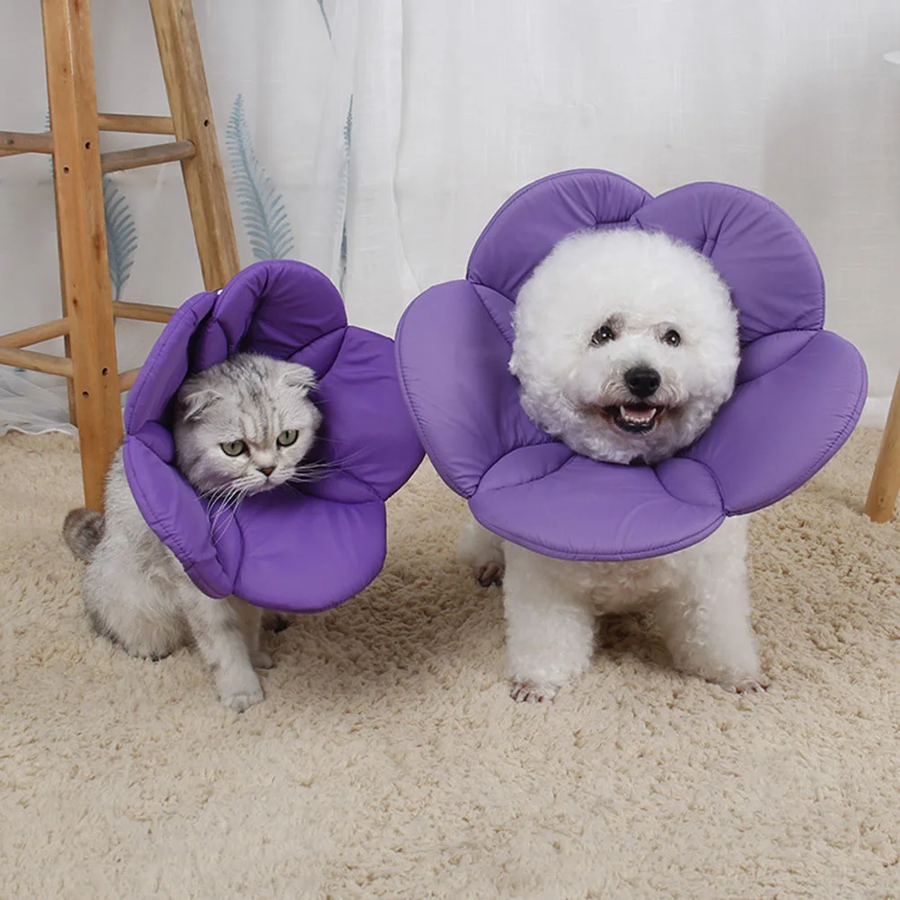 

Creative Flower Pet Protective Lightweight Post-Surgery Recovery Neck Circle For Dogs Cats Size Xl Purple Dog Collar Pet