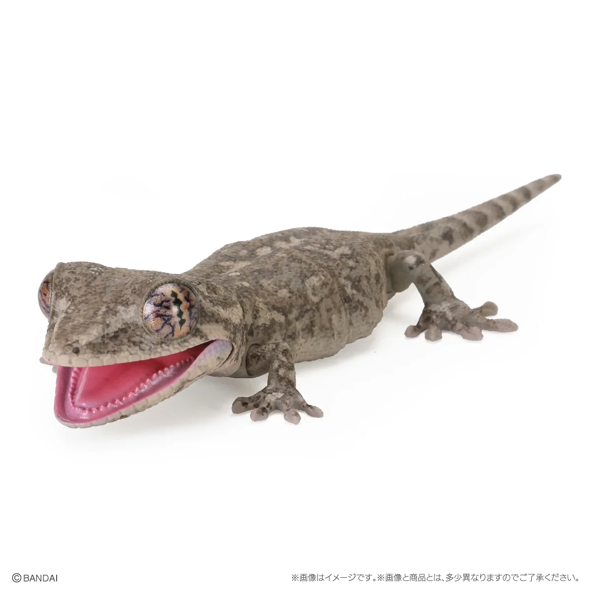 Genuine Popularity Gacha Biological Encyclopedia Japanese Gecko Bearded Lizard Action Figure Model Toys