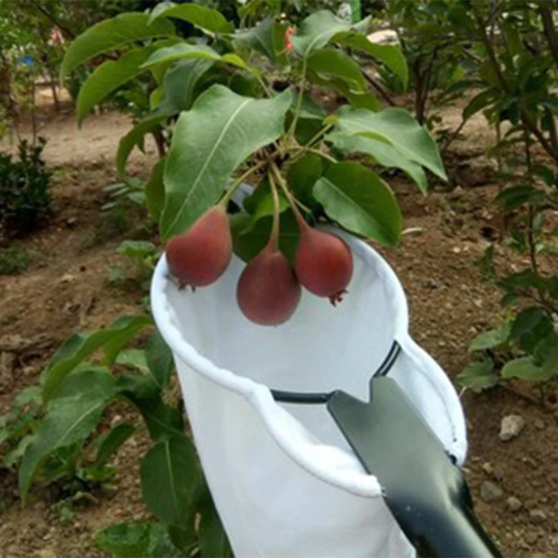 1Pc Fruit Picker Garden Jujube Apple Peach Pear Mango Picking Catcher Collector Supplies Gardening Agricultural Orchard Tool