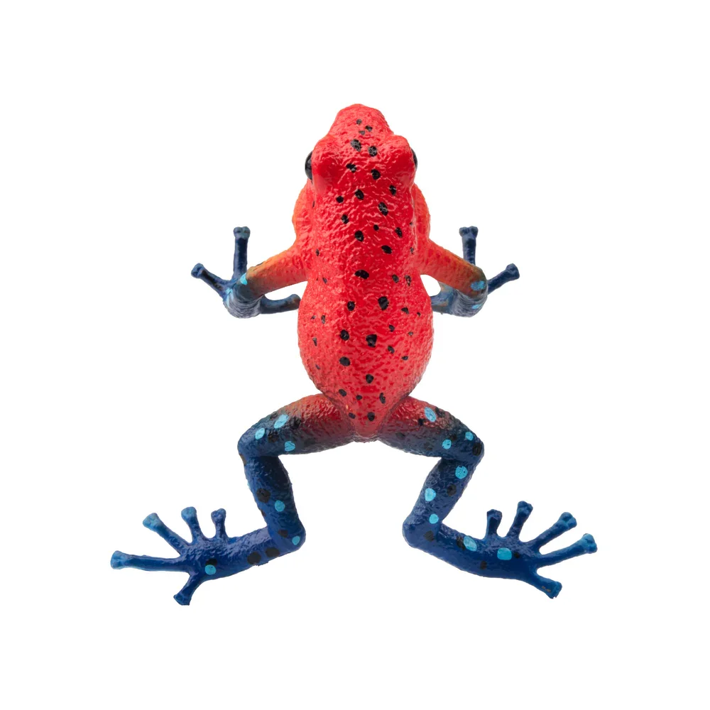 Toymany Simulation Strawberry Poison-Dart Frog Reptile Realm Animal Model Toy Mini Figures Dolls Action Figurines Toys Children