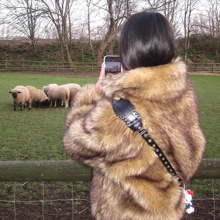 Imitatiebont dames 2025, winter nieuwe milieuvriendelijke vossenbont korte harige jas