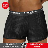 MiiOW Sexy Mesh Men Boxers Underwear Breathable Ice Silk Men's Panties Lingerie Underpants Boxershorts Plus Size L-4XL Trunks