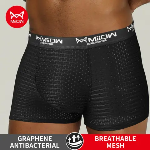 MiiOW Sexy Mesh Men Boxers Underwear Breathable Ice Silk Men's Panties Lingerie Underpants Boxershorts Plus Size L-4XL Trunks