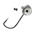 5g