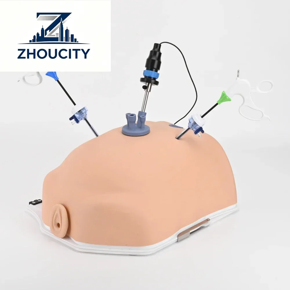 New Simulated Belly Laparoscopic Simulator Box Endotrainer with HD Camera and Gynecological Training Modules