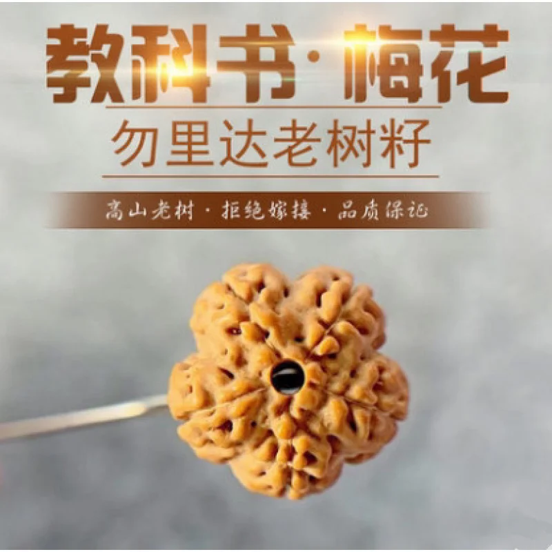 

Premium Small Vajra Bodhi Plum Blossom Single Circle 108 Beads Five-Petal First Generation King of Flowers Bracelet