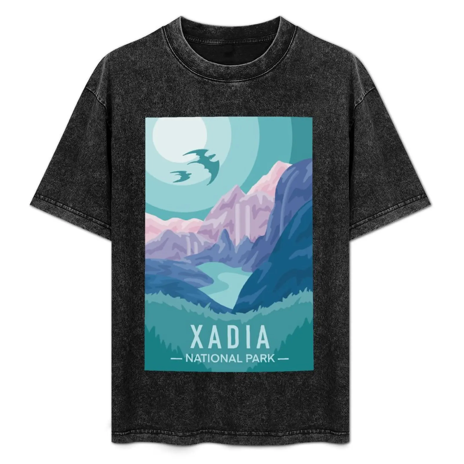 Xadia The Dragon Prince National Park T-Shirt for a boy man t shirt graphic tee shirt mens t shirt graphic