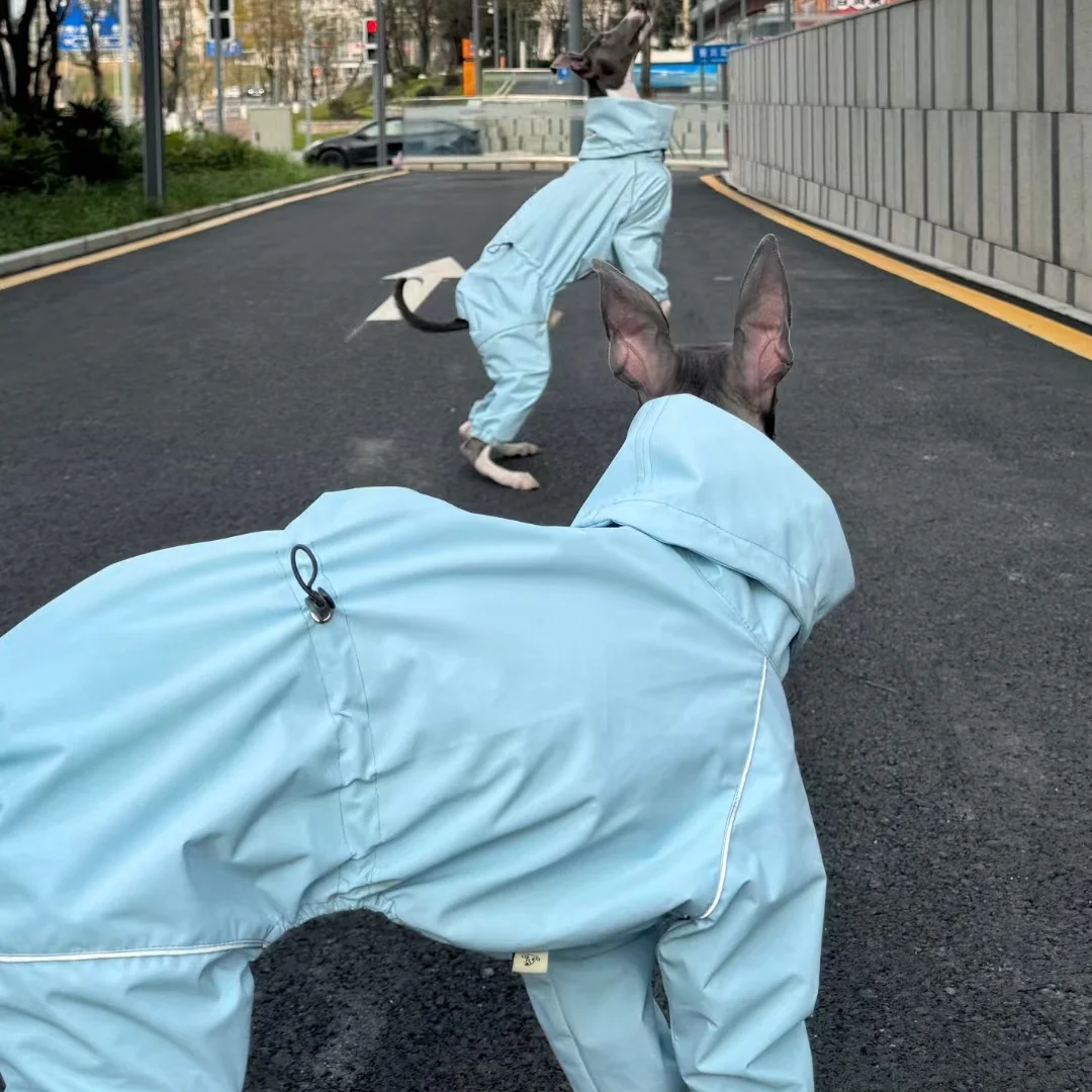 Frühling Sommer Blauer Regenmantel für Italienische Windhunde Winddichte Wasserdichte Jacke mit Rotem Reißverschluss für Whippets Reflektierender Streifenmantel – Detail 21