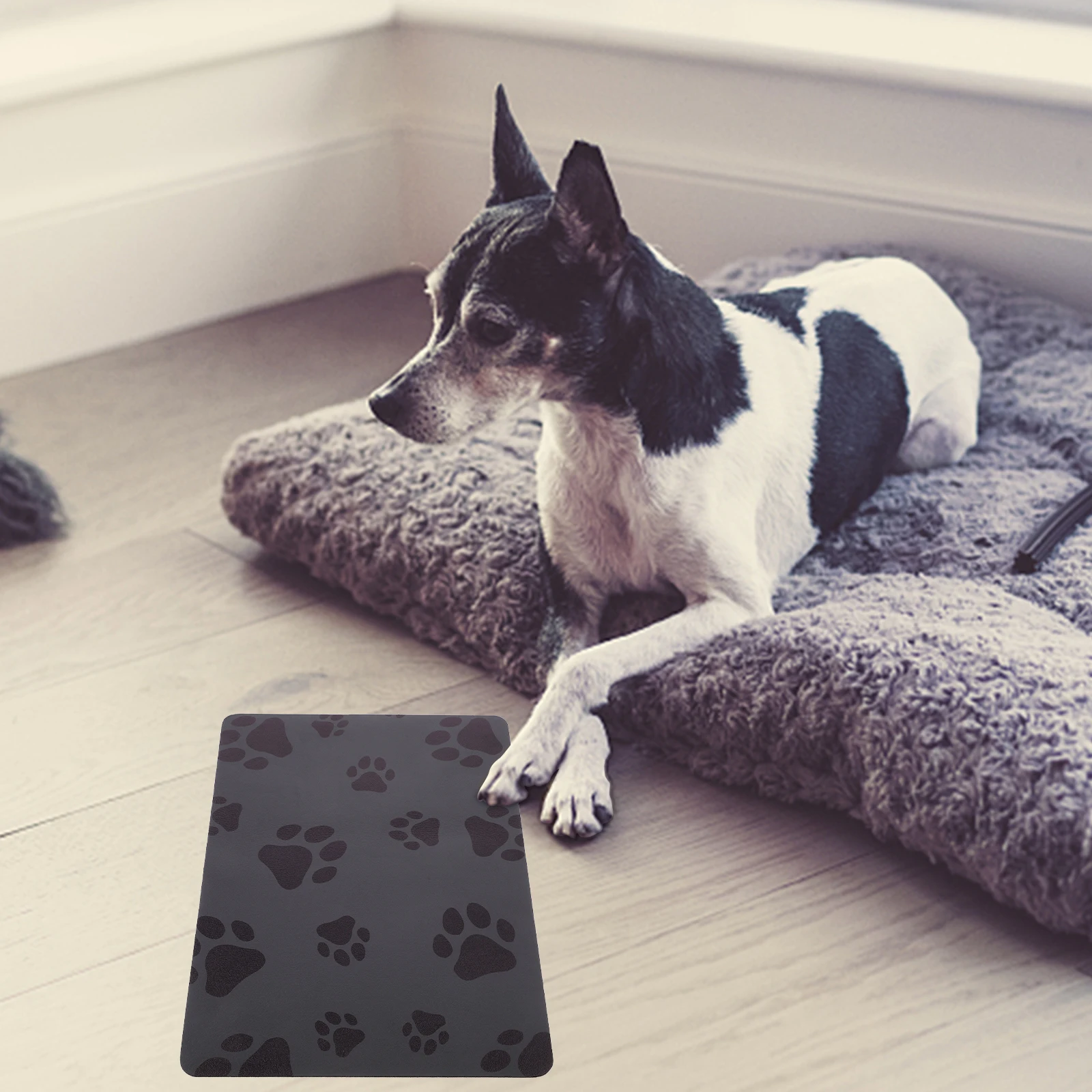 

Pet Feeding For Cats Dogs Super Absorbent Dog Bowl Mat Reusable Food Water Bowl Pad Thick Diatomite Mat Large Size Easy