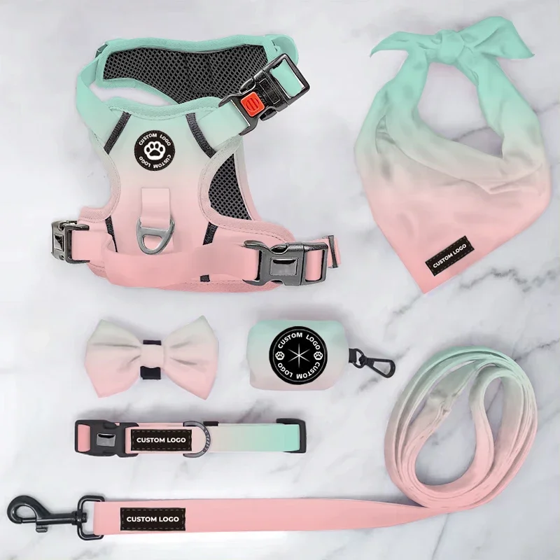 Custom Pet Supplies Safety Dog Harness And Leash Reflective Adjustable No Pull Dog Harness Set Pet Accessories