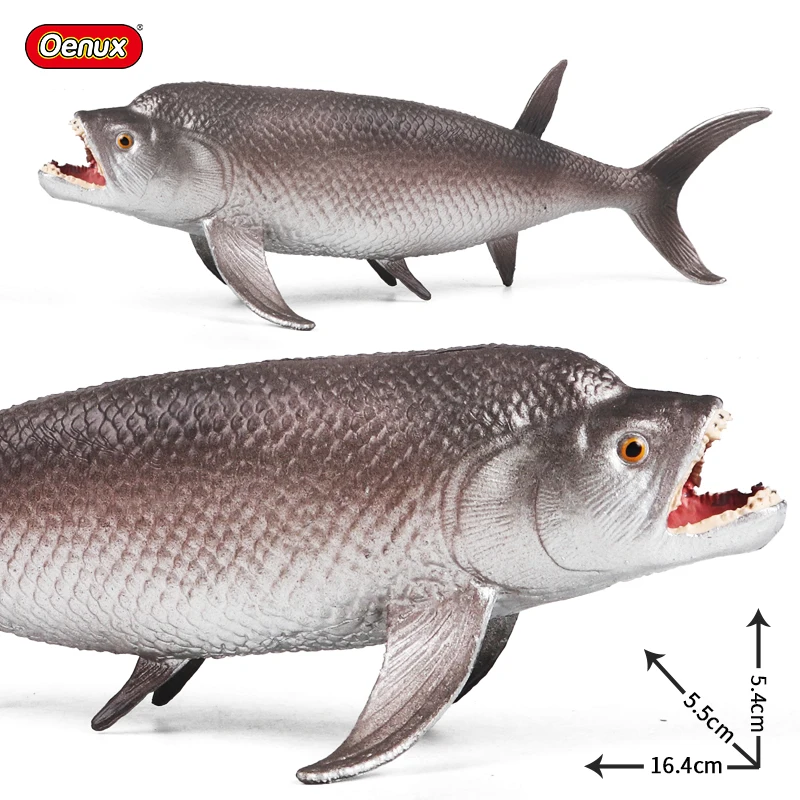 Oenux Sea Life Animals Toy Simulation Squid Shrimp Crab Starfish Salmon Model Action Figures PVC Educational Collection Kid Gift