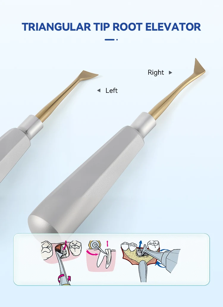 7-teiliges Set AZDENT Dental Zahnheber Chirurgische Zahnextraktionswerkzeuge Gerade und Gebogene Edelstahl-Instrumente für Zahnmedizinlabor – Detail 4