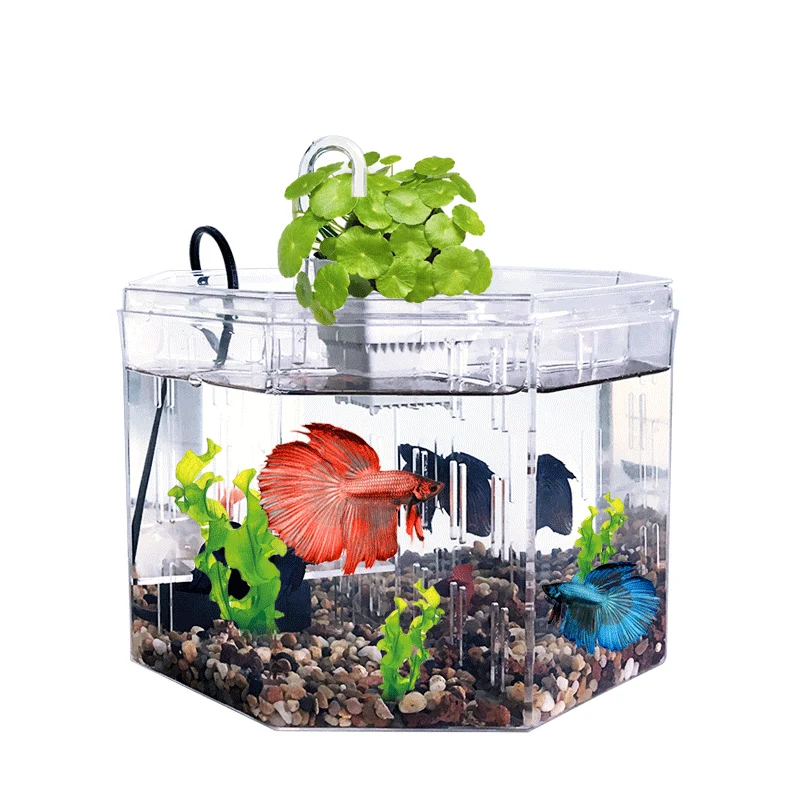 Caja de aislamiento de acrílico de cuatro rejillas para acuario, decoración de oficina para pecera, Betta, pecera Ornamental