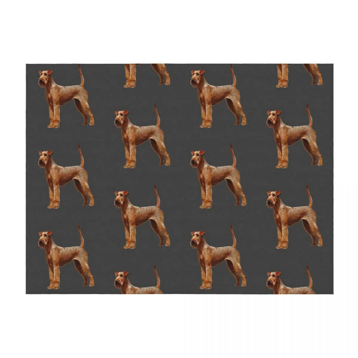 

Irish Terrier Dog Throw Blanket Decorative Sofa Thins bed plaid Travel Blankets