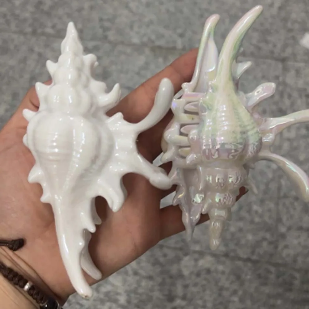 Головной убор, сладкий жемчужный цвет, коготь для волос, акриловая смола, раковина, зажим в виде акулы, корейский стиль, серия Ocean, женские волосы, коготь для женщин