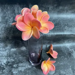 20pcs Light Coral frangipani Plumerias Natural Real Touch Flowers artificial Flower for cake Home decoration wedding bouquets