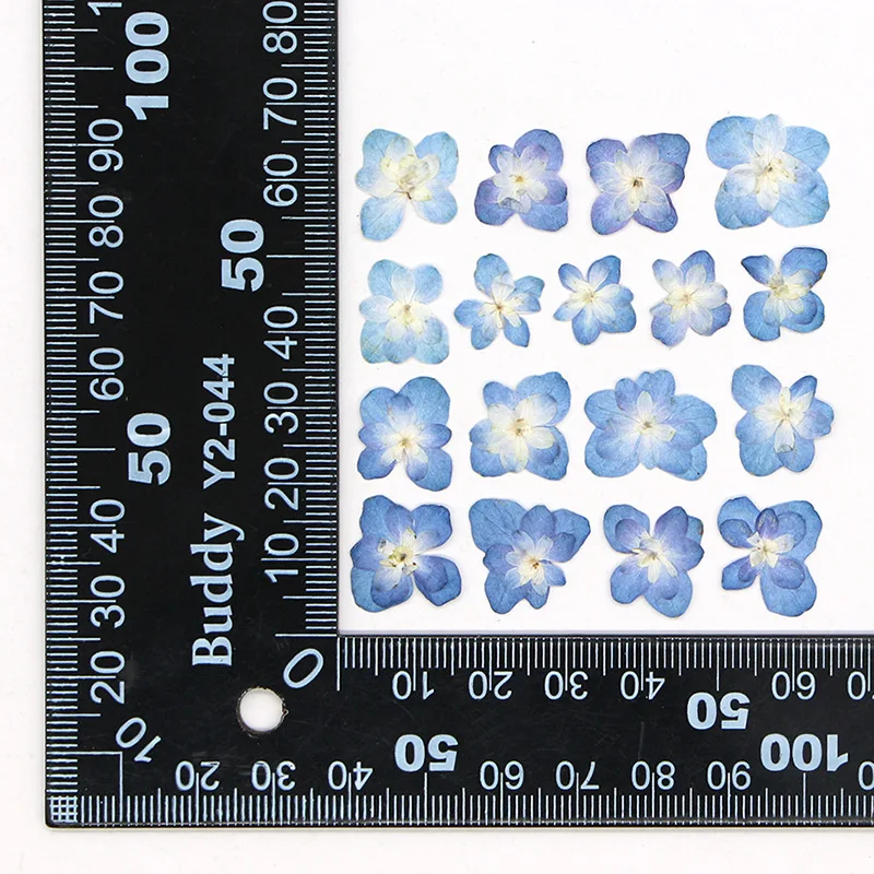60Pcs Mini Double-Flowered Hydrangea Dried Flowers Pressed Flowers DIY Materials Candles Bookmarks Photo Frames Children's Crafts Pressed Flowers Table Lamps Nail Art Specimens view 6