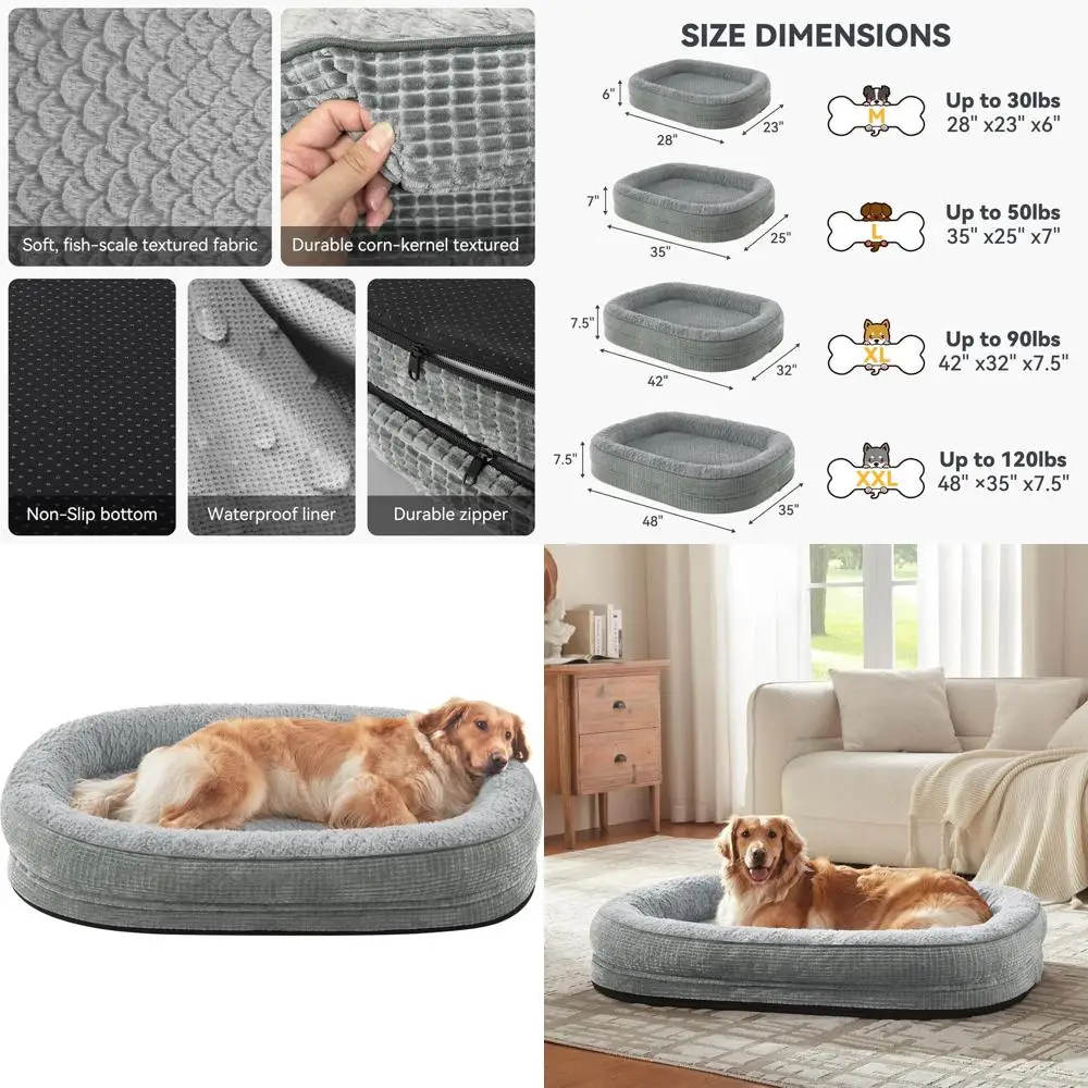 Large Orthopedic Do…