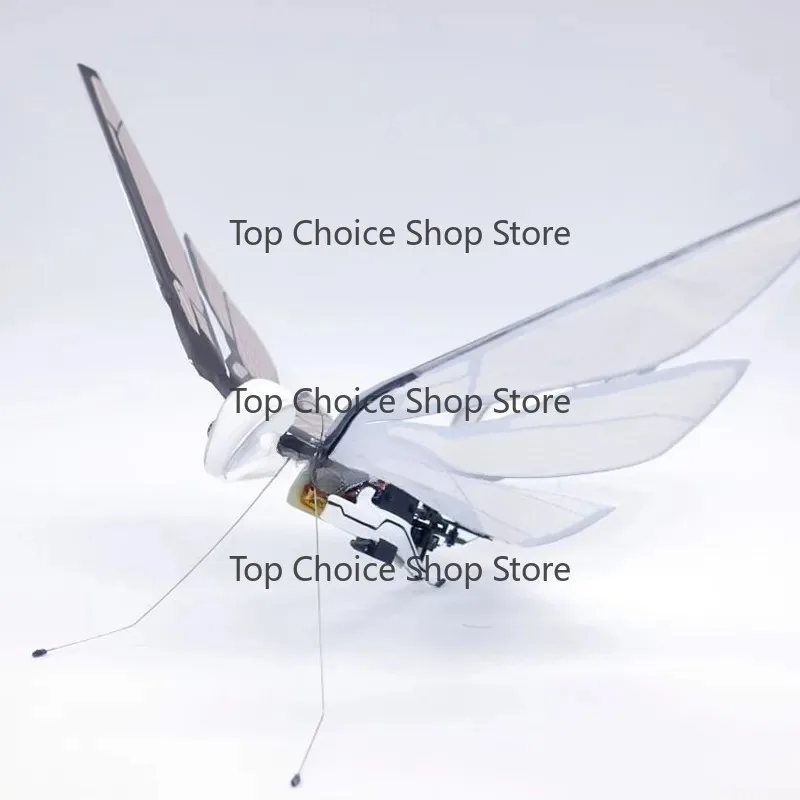 Remote Control Bionic Bird Flyer Flapping Wings Insect Bird Science Children's Small