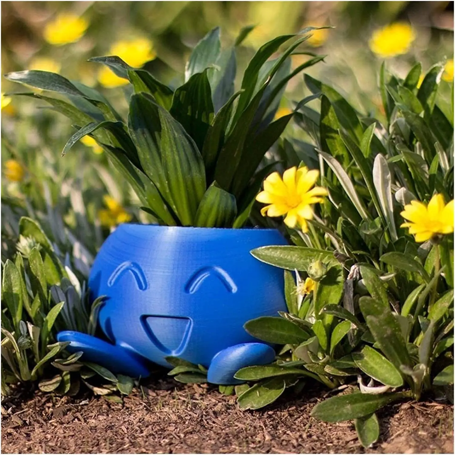 Oddish-Pot de fleurs pour plantes succulentes, jardinière